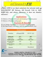 Cleaning Agent E clean21FH_Catalog